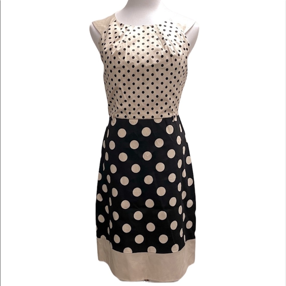 The Limited polka dot dress
